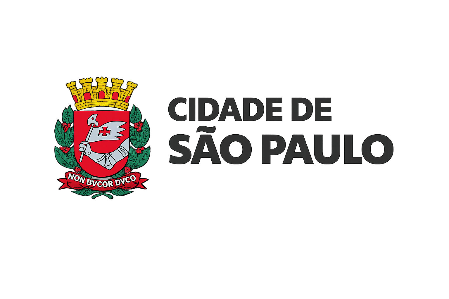 Cidade de São Paulo